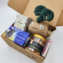 Load image into Gallery viewer, Comfort & Care Plant Plushie Gift Box