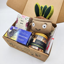 Load image into Gallery viewer, Comfort & Care Plant Plushie Gift Box