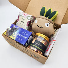 Load image into Gallery viewer, Comfort & Care Plant Plushie Gift Box