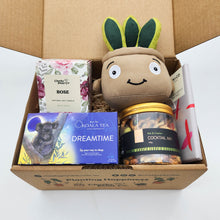 Load image into Gallery viewer, Comfort & Care Plant Plushie Gift Box