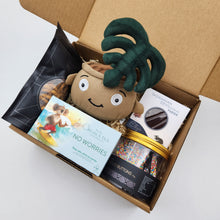 Load image into Gallery viewer, Happy Moments Plant Plushie Gift Box