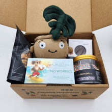 Load image into Gallery viewer, Happy Moments Plant Plushie Gift Box