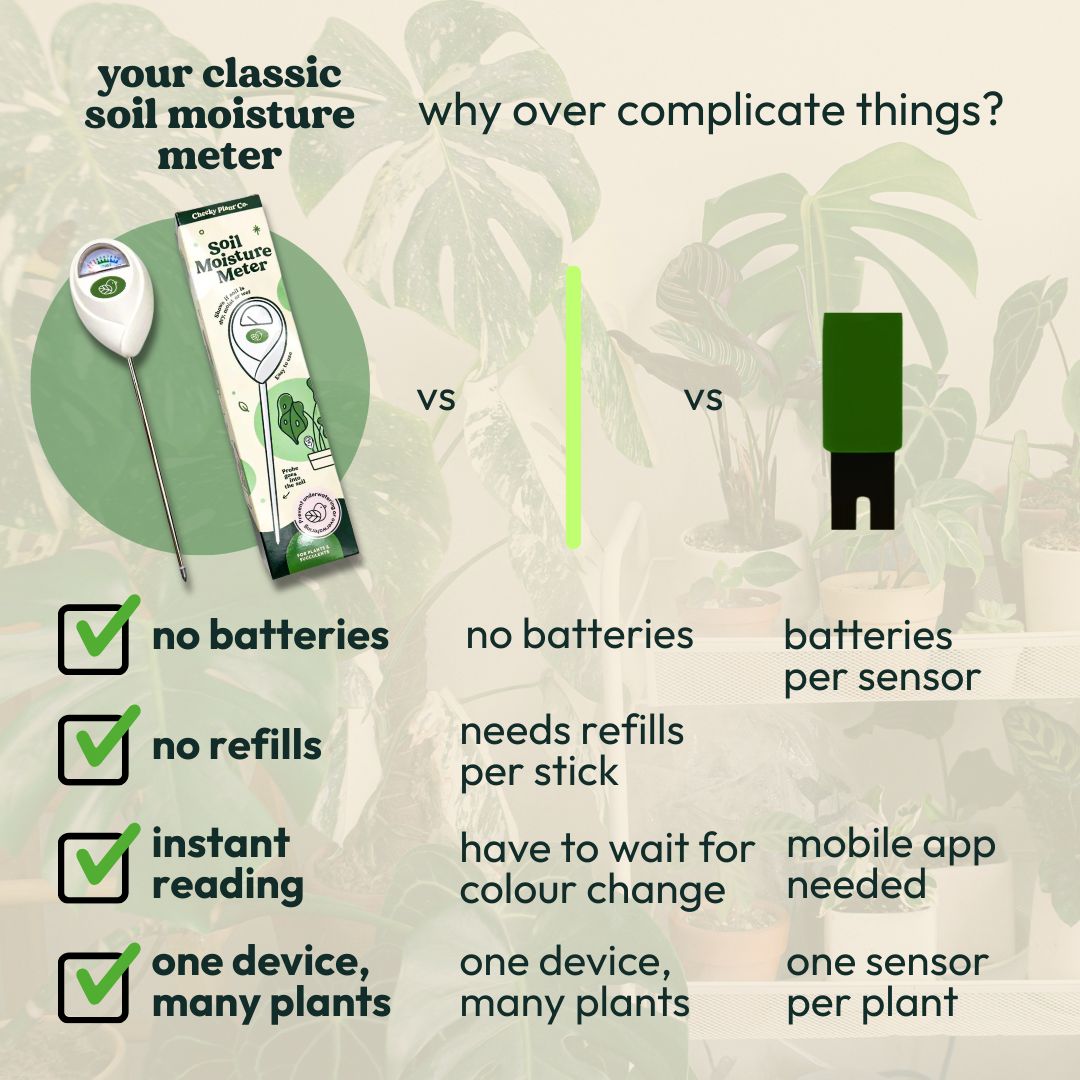 best soil moisture meter australia Plant Moisture Meter | Soil Moisture Meter for Plants