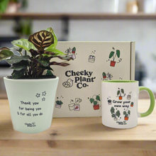 Load image into Gallery viewer, Positive Motivation - Plant Gift Box