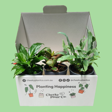 Load image into Gallery viewer, Assorted Potted Houseplant Trio