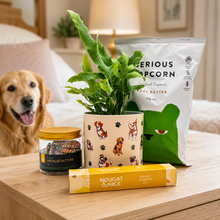 Load image into Gallery viewer, Dog Lovers - Pet Friendly Plant Gift Hamper - Sydney Only