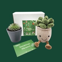 Load image into Gallery viewer, Cheeky Plant Plushie &amp; Succulent Gift Box
