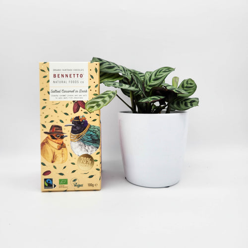 Assorted Houseplant & Chocolate Gift - Sydney Only