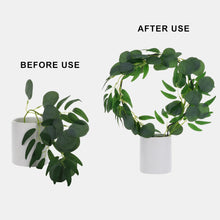 Load image into Gallery viewer, Black Iron Plant Trellis - Ring (22.5x34cmH)