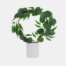 Load image into Gallery viewer, Black Iron Plant Trellis - Ring (22.5x34cmH)