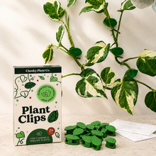 Load image into Gallery viewer, Plant Clips - Pack of 24 - Cheeky Plant Co.