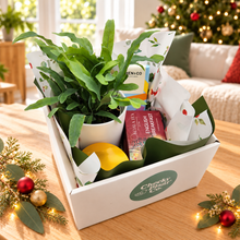Load image into Gallery viewer, Christmas Plant Gift Hamper - Sydney Only