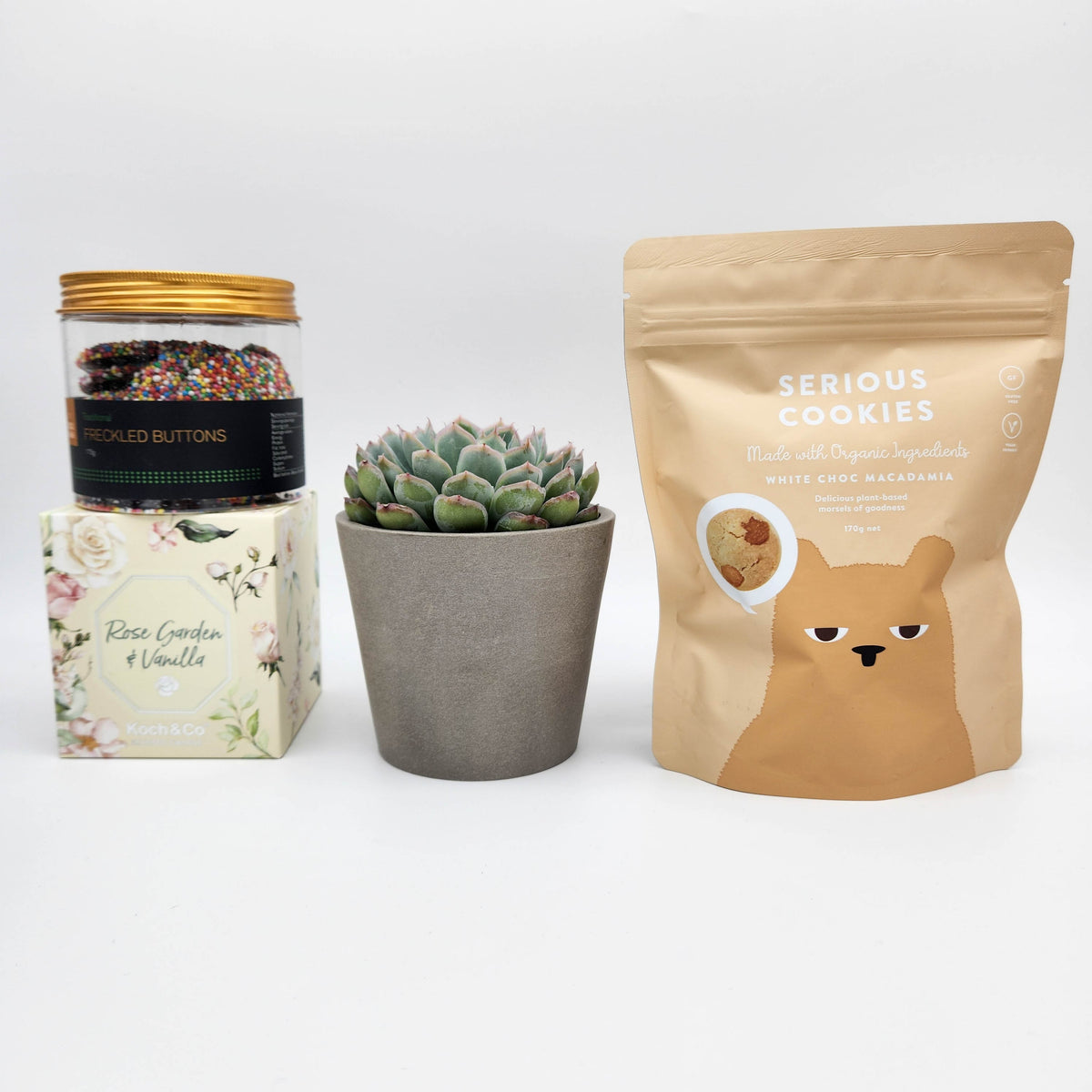 Deepest Sympathy Gift Hamper Box with Succulent Cheeky Plant Co.