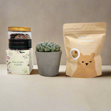 Load image into Gallery viewer, Deepest Sympathy Gift Hamper Box with Succulent