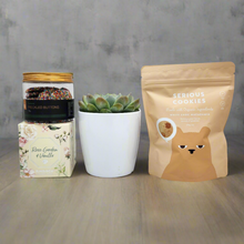 Load image into Gallery viewer, Deepest Sympathy Gift Hamper with Succulent - Sydney Only
