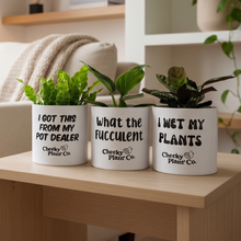 Load image into Gallery viewer, EOFY Cheeky Plant Pots Bundle