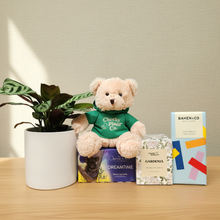Load image into Gallery viewer, Get Well Soon - Assorted Plant Gift Hamper - Sydney Only