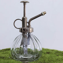 Load image into Gallery viewer, Glass Plant Mister - 200ml