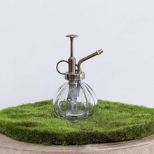 Load image into Gallery viewer, Glass Plant Mister - 200ml