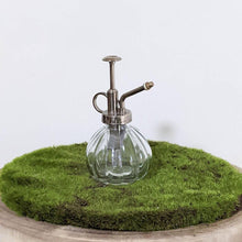 Load image into Gallery viewer, Glass Plant Mister - 200ml