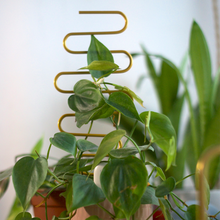 Load image into Gallery viewer, Gold Wavy Plant Trellis (10x34cmH)