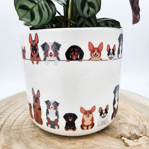Houseplant in Quirky Dog Planter - Sydney Only