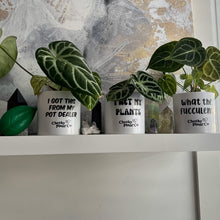Load image into Gallery viewer, Trio Pack - Funny - Cheeky Plant Co. Pots - 12.5cmD x 12cmH