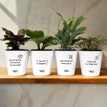 Load image into Gallery viewer, Potted Plants in Positive Pots Four Pack Gift - Sydney Only