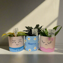 Load image into Gallery viewer, Plant Name Labels - "Hello my name is ___ "