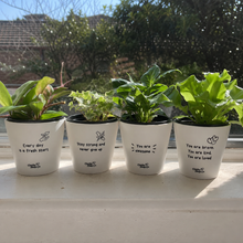 Load image into Gallery viewer, Fresh Start - Cheeky Plant Co. Positive Pot - 11cmD x 11cmH