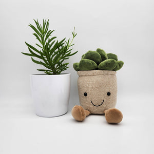 Potted Plant and Plant Plushie Gift - 120mm - Sydney Only