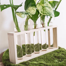 Load image into Gallery viewer, Ultimate Plant Propagation - Growth Bundle