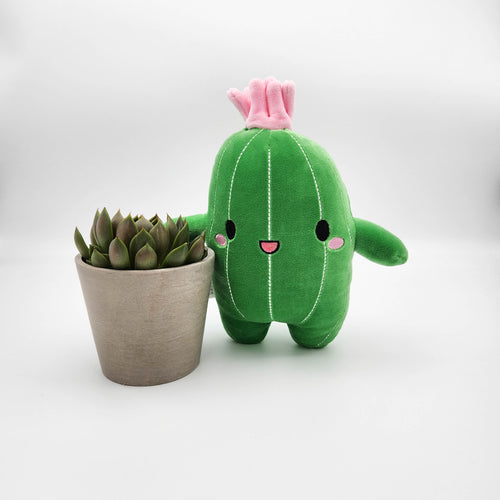 Succulent & Cactus Plushie Gift - Sydney Only