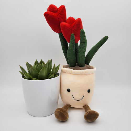 Succulent & Red Tulip Plushie Gift - Sydney Only