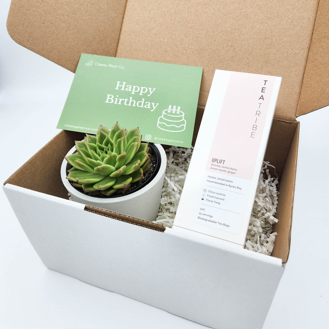 Tea & Succulent Gift Box