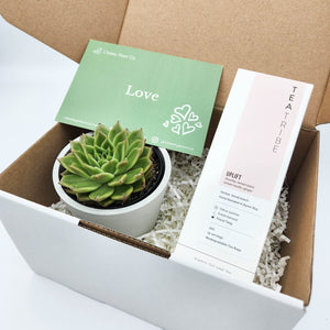 Tea & Succulent Gift Box