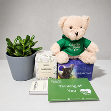 Load image into Gallery viewer, Thinking of You - Succulent Hamper / Succulent Gift Box - Sydney Only