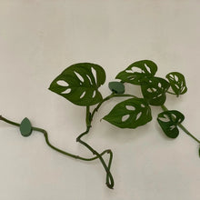 Load image into Gallery viewer, Plant Clips - Pack of 24 - Cheeky Plant Co.