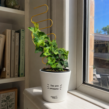Load image into Gallery viewer, Gold Wavy Plant Trellis (10x34cmH)