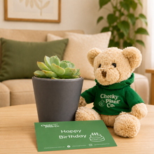 Load image into Gallery viewer, Teddy Bear & Succulent Gift Box