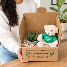 Load image into Gallery viewer, Teddy Bear & Succulent Gift Box