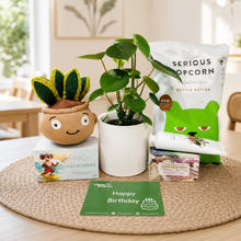 Load image into Gallery viewer, Best Birthday - Assorted Plant Gift Hamper - Sydney Only