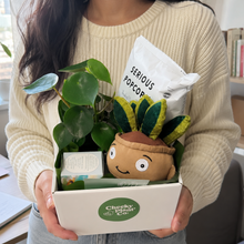 Load image into Gallery viewer, Best Birthday - Assorted Plant Gift Hamper - Sydney Only