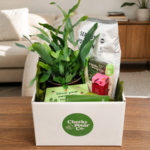 Load image into Gallery viewer, Best Frond Birthday Plant Gift Hamper - Sydney Only