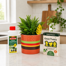 Load image into Gallery viewer, Indoor Plant Care Starter Kit - Burger Pot Bundle