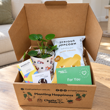 Load image into Gallery viewer, Cat Lovers Plant Gift Box
