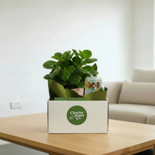 Load image into Gallery viewer, Cheeky Plant Co. Gift Hamper – No Yellow