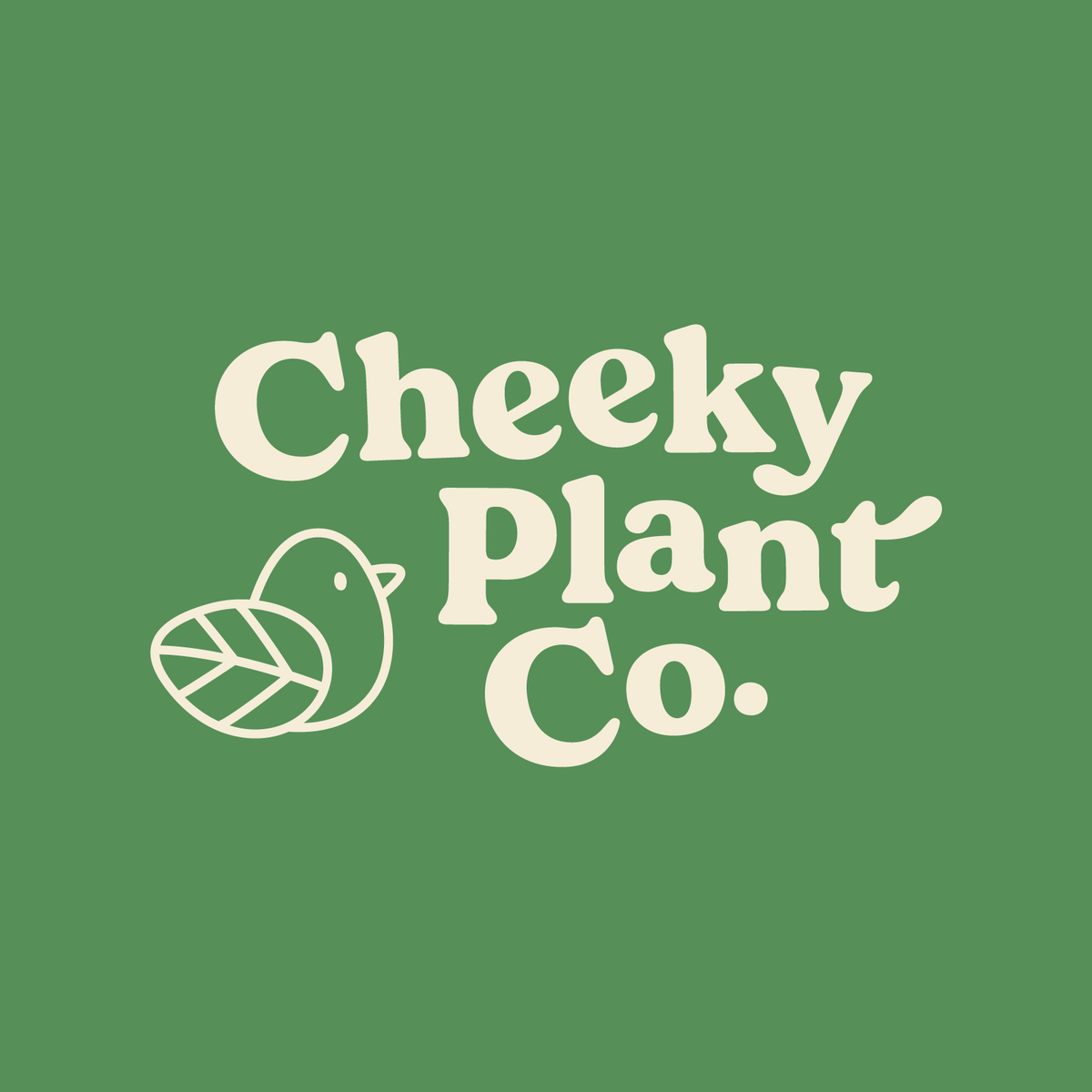 Cheeky Plant Co. | Buy Plants Online Australia | Plant Gift Delivery