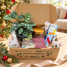 Load image into Gallery viewer, Christmas Plant Gift Box