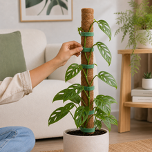 Load image into Gallery viewer, Coir Poles Duo with Velcro Plant Ties - Grow Bundle